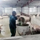 Người nông dân dám nghĩ, dám làm, thu nhập hàng tỷ đồng mỗi năm
