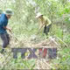 Nghệ An: 55 xã phát cảnh báo cháy rừng cấp cực kỳ nguy hiểm