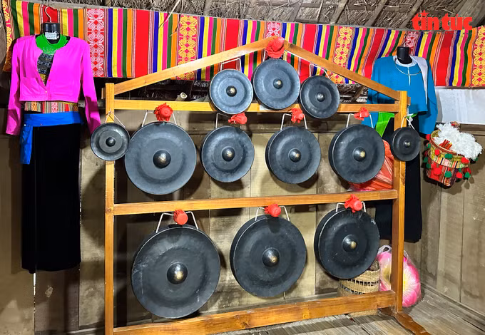 chiengmuong-8.jpg
