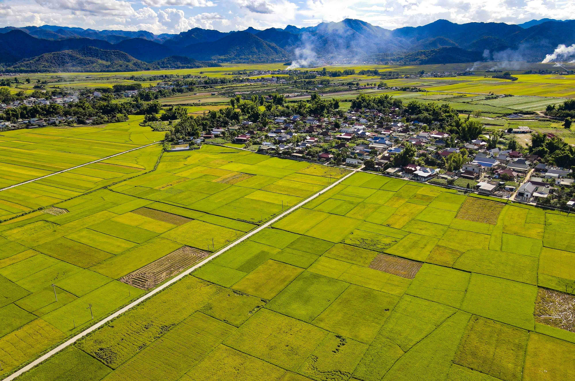 Một góc cánh đồng Mường Thanh khu vực xã Thanh Xương, huyện Điện Biên. muong-thanh5-200525.jpg