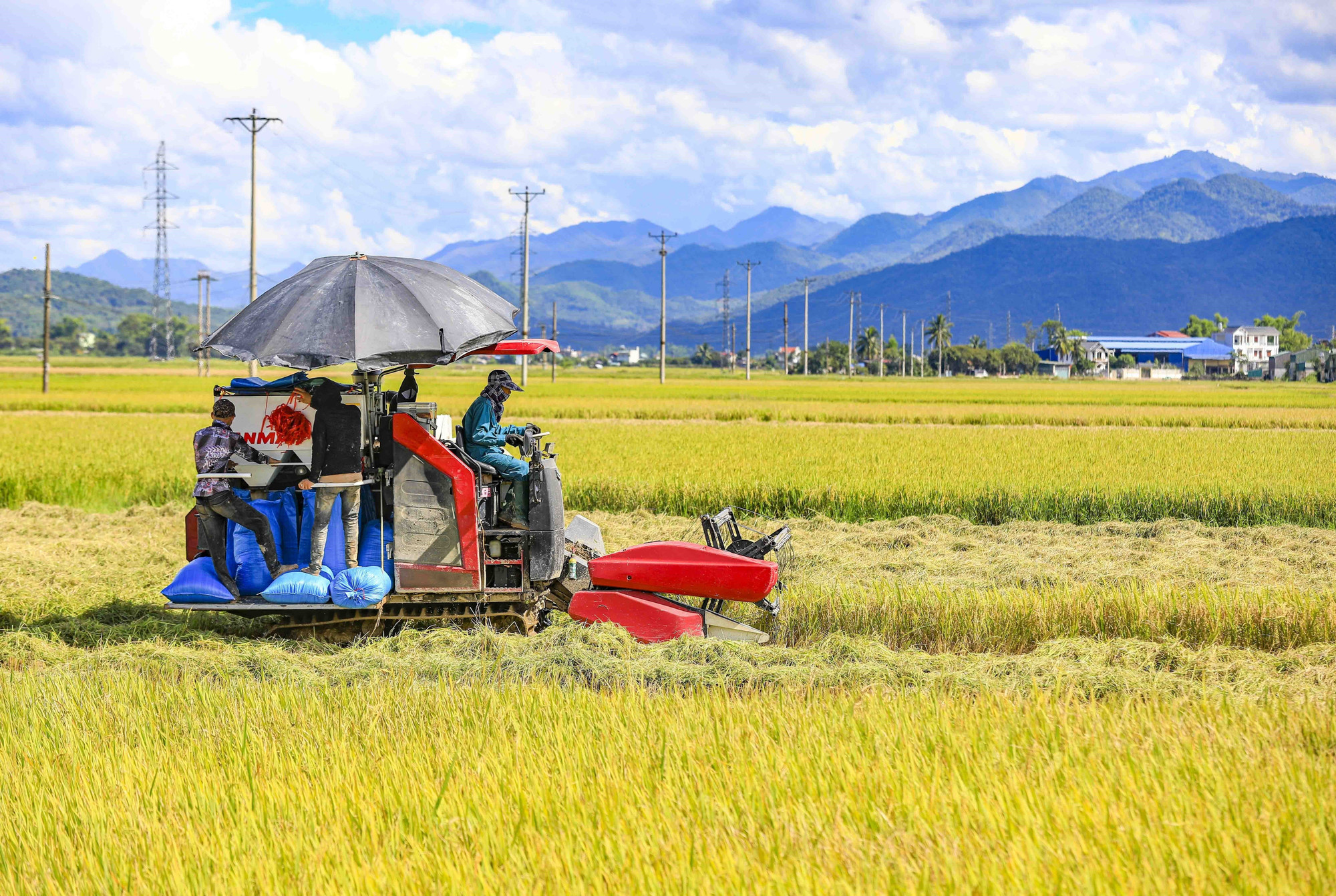 Người dân sử dụng máy gặt lúa để giảm thiểu thời gian và sức lao động. muong-thanh11-200525.jpg