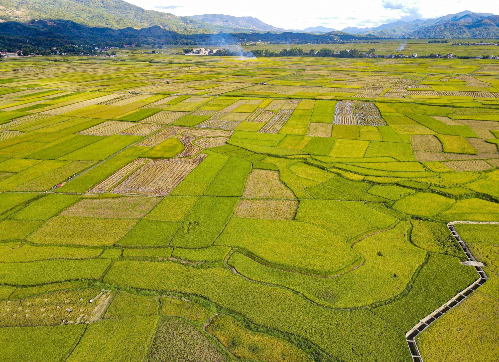 Một góc cánh đồng Mường Thanh khu vực xã Thanh Xương, huyện Điện Biên. muong-thanh6-200525.jpg
