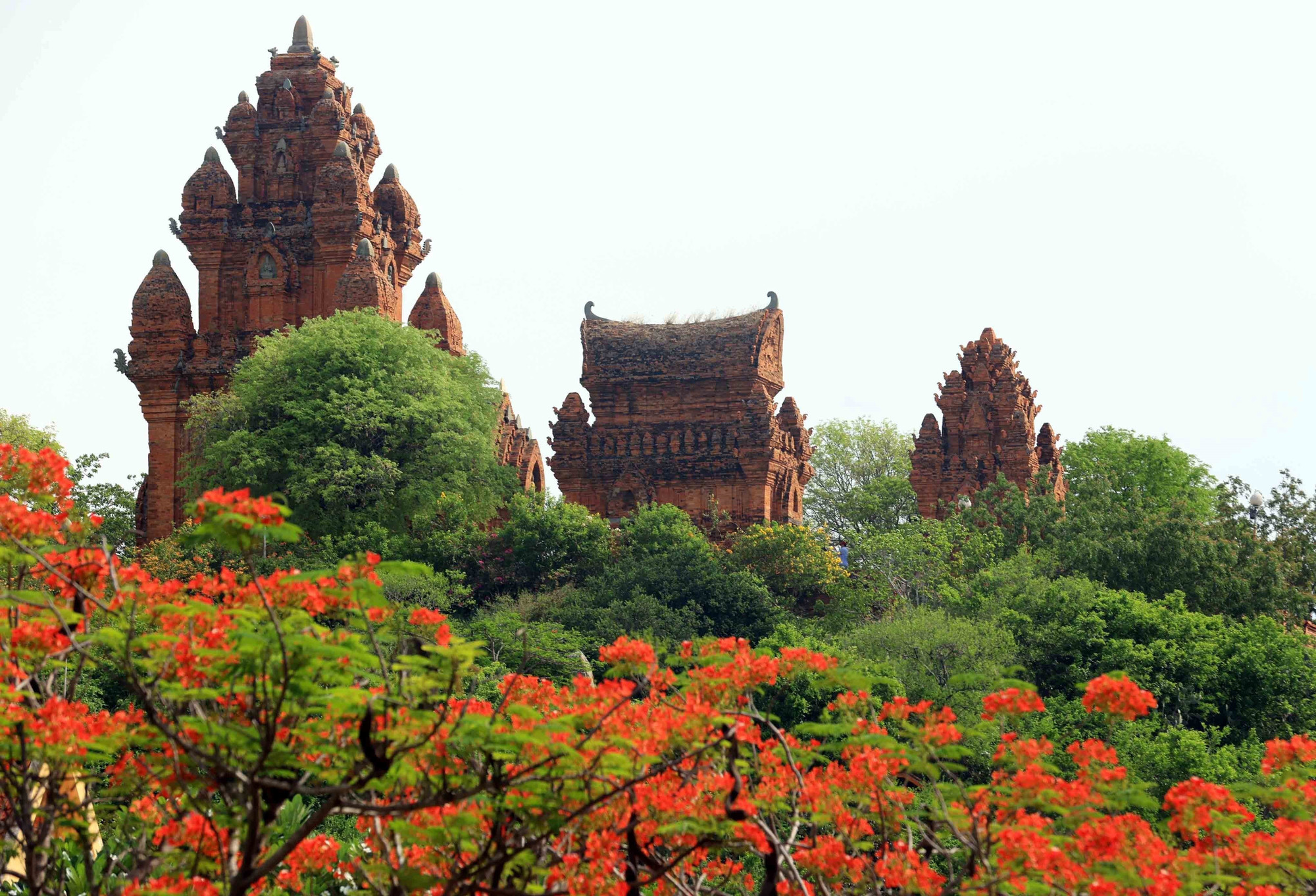 Tháp Po Klong Garai nằm trên ngọn đồi Trầu, phường Đô Vinh, thành phố Phan Rang - Tháp Chàm. thap-300625.jpg