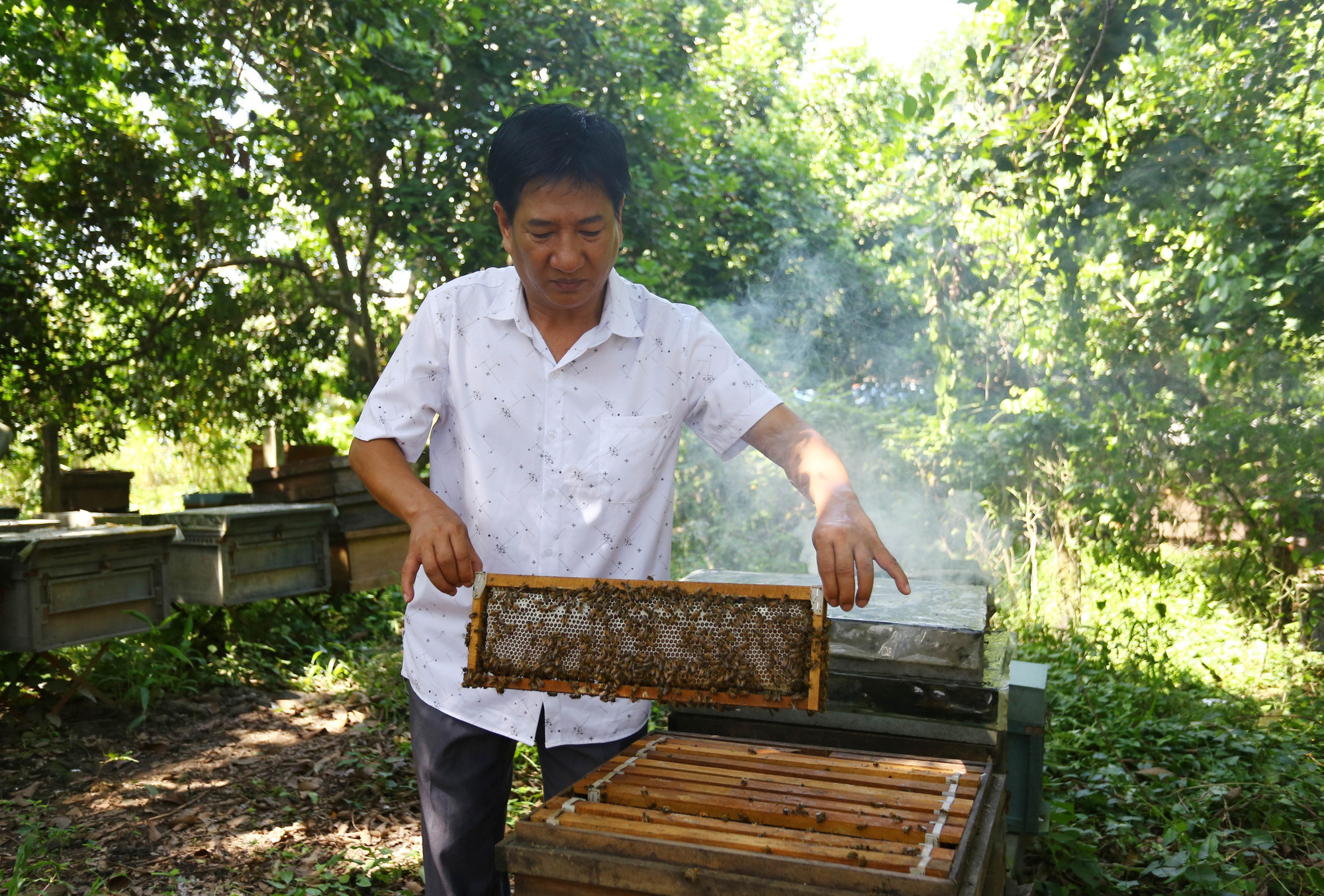 Áp dụng phương pháp nuôi ong công nghệ cao, ông Lê Lộc Quân thu được mật ong ly tâm đạt chuẩn chất lượng cao. mat-ong2-131025.jpg