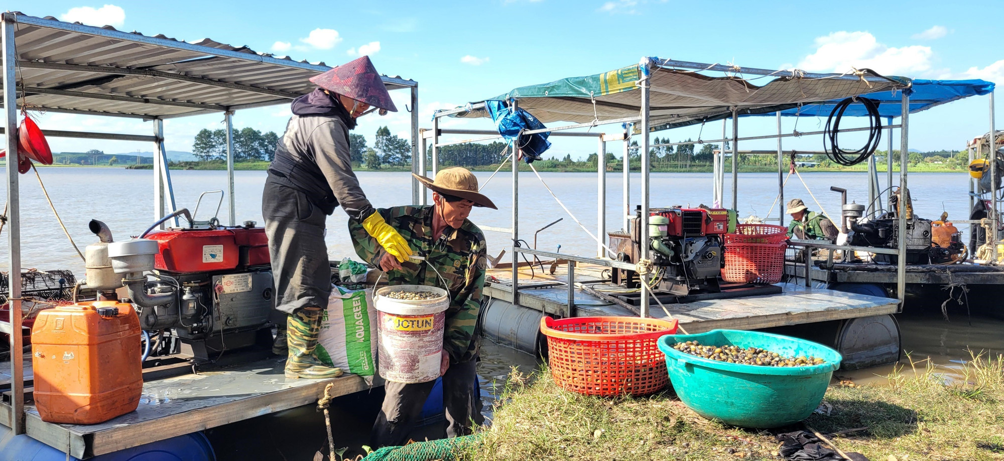 Người dân khai thác hến trên lòng hồ thuỷ điện An Khê - Kanak (Gia Lai). Ảnh: Hoài Nam/TTXVN hen2-260925.jpg
