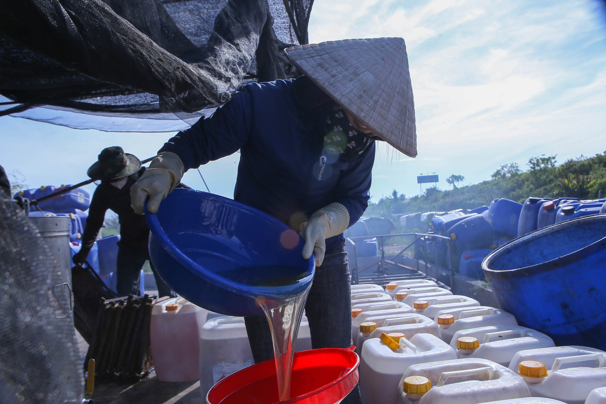 Mật ong sau khi quay xong được đổ vào từng can. ninh-binh5-170725.jpg