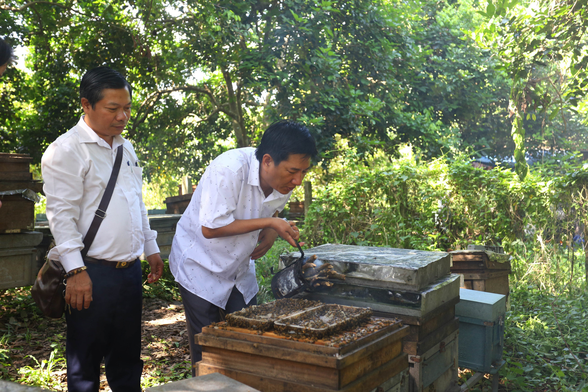 Ngoài cung cấp cho thị trường trong nước, các sản phẩm mật ong của gia đình ông Lê Lộc Quân đạt chất lượng cao và xuất khẩu ra thị trường thế giới nhờ phương pháp nuôi ong công nghệ cao. mat-ong5-131025.jpg