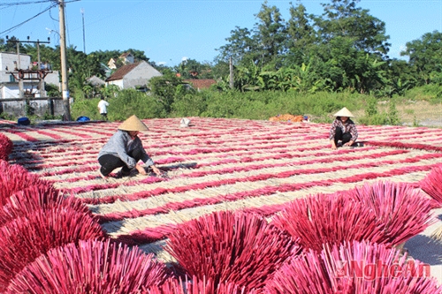 Hương trầm Quỳ Châu - món quà của thiên nhiên và tình người ảnh 5 Hương trầm Quỳ Châu - món quà của thiên nhiên và tình người ảnh 5