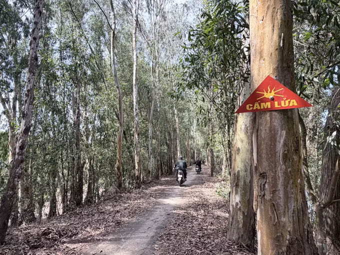Bảng cấm lửa được đặt tại Khu rừng tràm Trà Sư (xã An Cư, tỉnh An Giang) nhằm cảnh báo nguy cơ cháy rừng trong mùa khô.