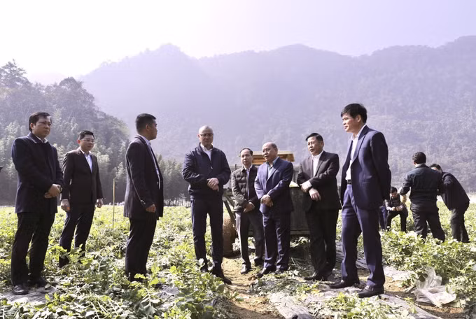 Bí thư Tỉnh ủy Phú Thọ Phạm Đại Dương thăm Hợp tác xã sản xuất rau an toàn Quyết Chiến (xóm Biệng), mô hình nông nghiệp sạch quy mô 22 ha.