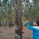 Hiện thực hóa ước mơ an cư, lạc nghiệp