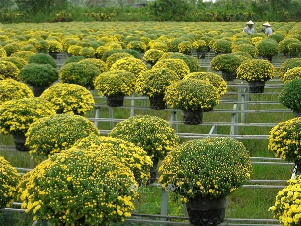 Phát triển sản phẩm du lịch từ hoạt động sản xuất công nghiệp