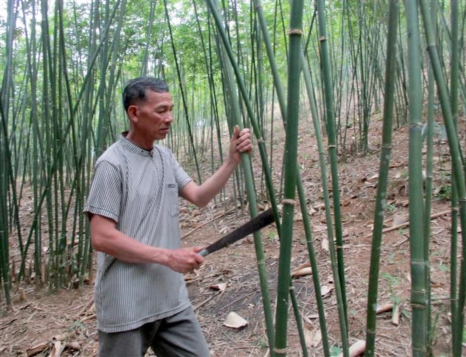 Hướng mới trong phát triển kinh tế vùng biên Thanh Hóa 