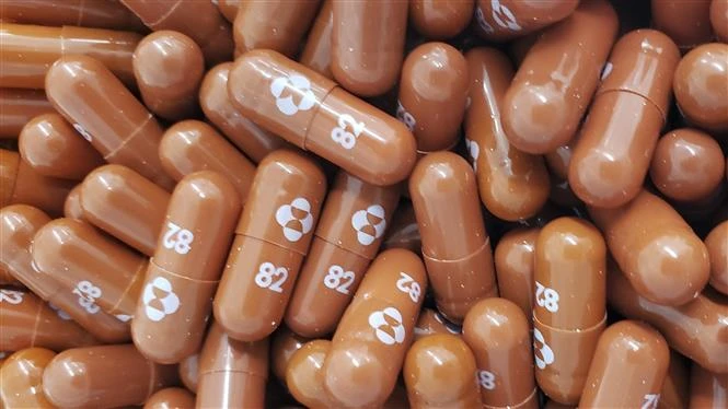 Việt Nam thí điểm điều trị có kiểm soát thuốc molnupiravir cho các trường hợp mắc COVID-19 thể nhẹ 