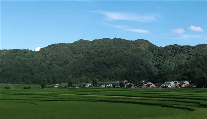 Phong Châu xây dựng nông thôn mới kiểu mẫu