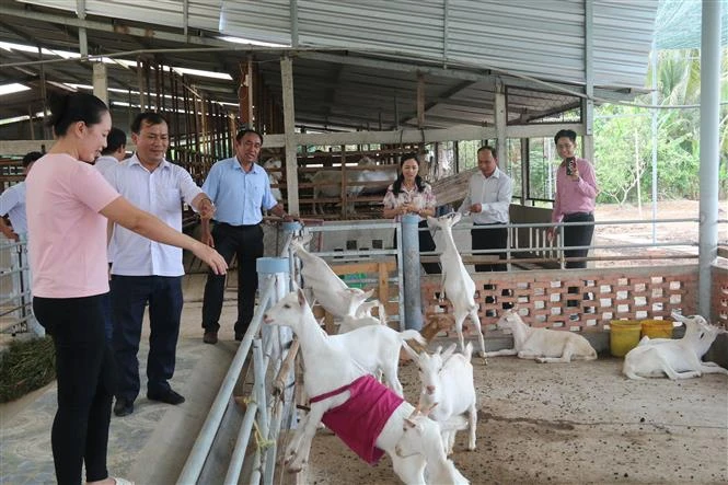 Tiền Giang huy động nguồn lực xây dựng nông thôn mới