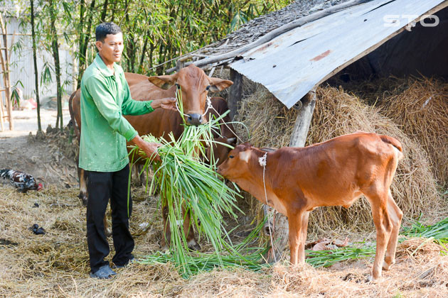 Sóc Trăng nỗ lực giảm nhanh hộ nghèo ở vùng đồng bào Khmer