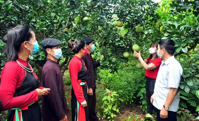 Tháo gỡ khó khăn trong thực hiện chế độ, chính sách vùng đồng bào dân tộc thiểu số và miền núi