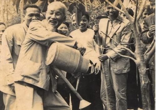 Nét đẹp Tết trồng cây, mang lại màu xanh cho đất nước