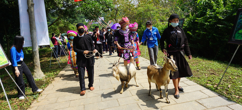 Sắc màu phiên chợ vùng cao “Điểm hẹn Hoàng Su Phì, Hà Giang” tại Làng Văn hóa