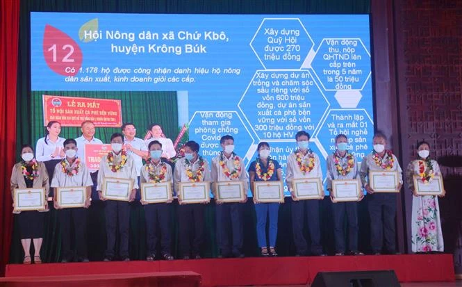 Nông dân Đắk Lắk thi đua sản xuất kinh doanh giỏi, giúp nhau làm giàu và giảm nghèo bền vững