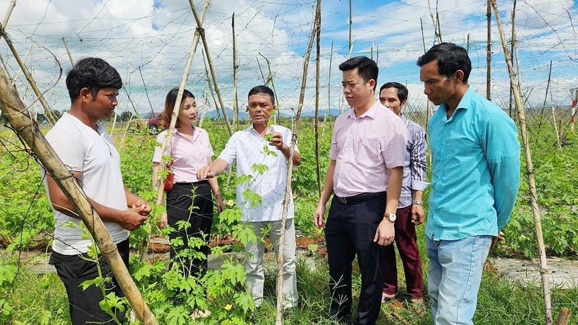 Trao sinh kế cho người nghèo ở Gia Lai