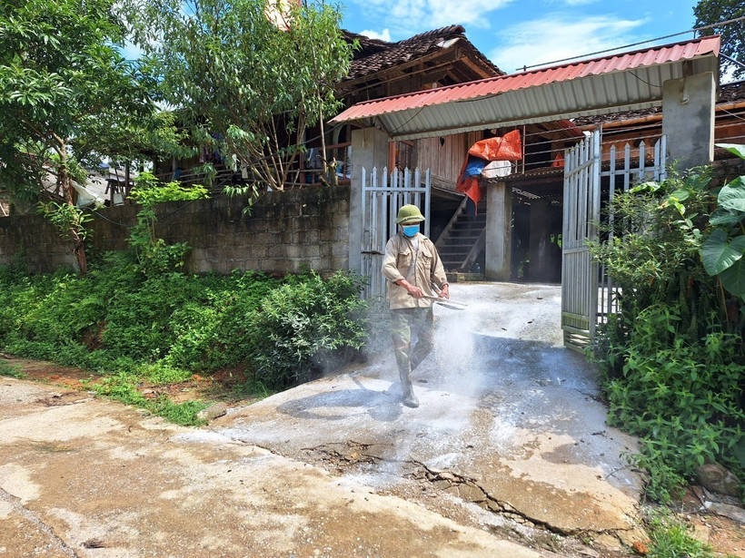 Bắc Kạn bùng phát dịch tả lợn châu Phi