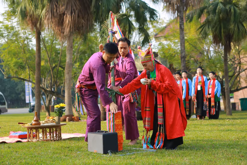 Cây nêu trong đời sống văn hóa của đồng bào dân tộc Mường