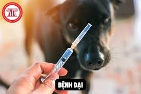 Tăng cường các biện pháp cấp bách phòng, chống bệnh dại