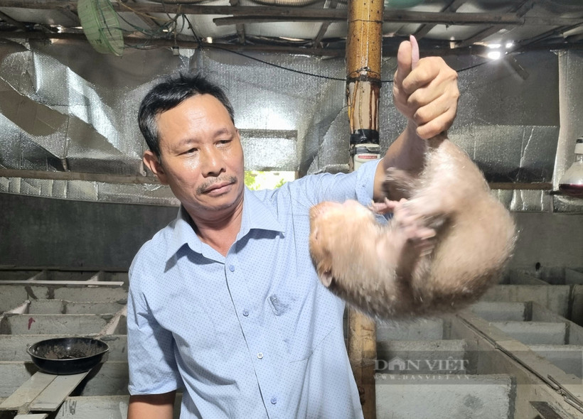Ông Lê Trọng Lệ thu nhập 1 tỷ đồng/năm từ nuôi dúi