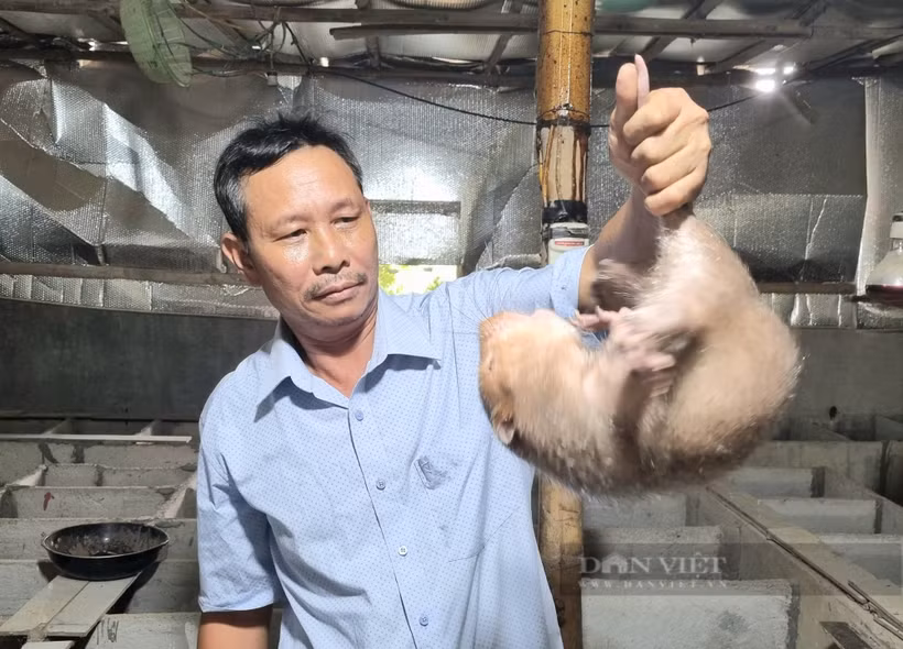 Ông Lê Trọng Lệ thu nhập 1 tỷ đồng/năm từ nuôi dúi