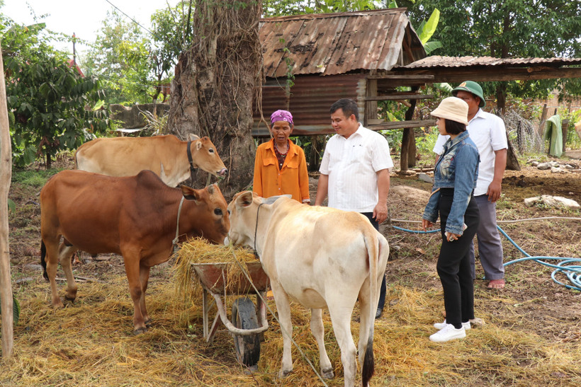 Đắk Lắk thực hiện nhiều giải pháp giảm nghèo bền vững