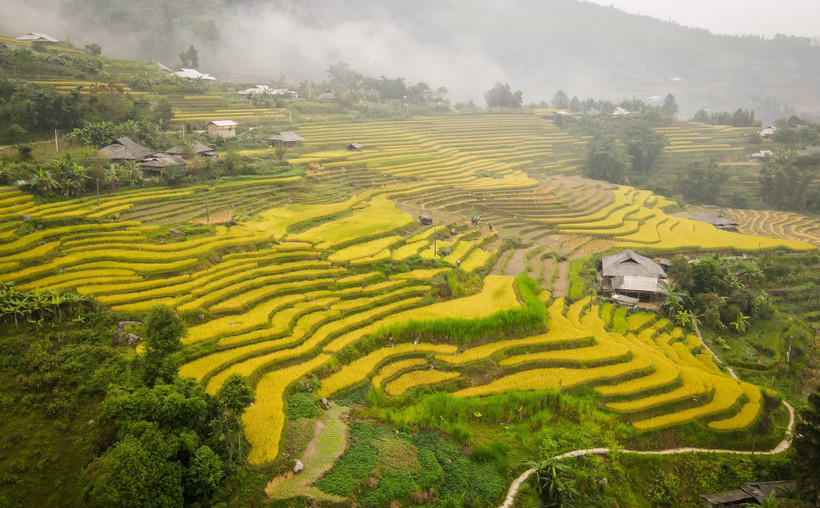 Khai mạc Chương trình du lịch “Qua những miền di sản ruộng bậc thang” Hoàng Su Phì