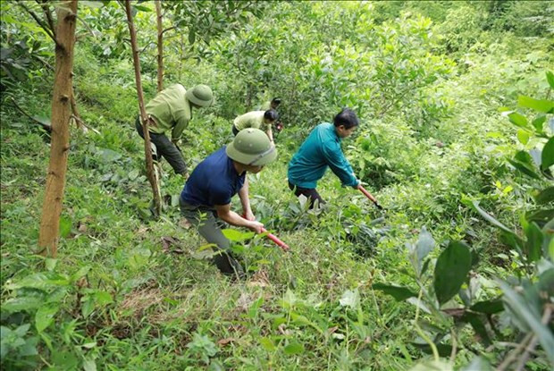 Phát triển kinh tế vùng Trung du và miền núi Bắc Bộ ( Bài 1)