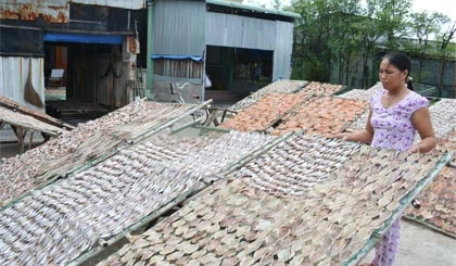 Làng nghề Vàm Láng giải quyết việc làm cho lao động vùng biển