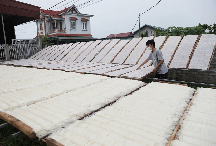 Bắc Giang phát triển các sản phẩm nông sản chủ lực, đặc trưng