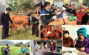 Tiếp tục hỗ trợ các xã, thôn hoàn thành mục tiêu Chương trình 135