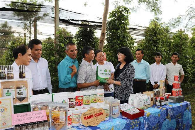 Gia Lai nhân rộng mô hình liên kết sản xuất gắn với tiêu thụ sản phẩm