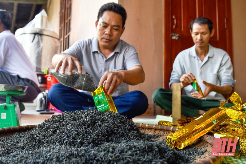 Sản phẩm chè sạch Bình Sơn. Nguồn: baothanhhoa.vn