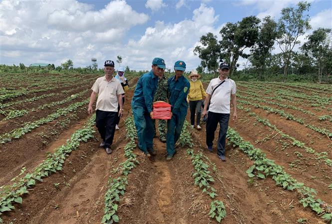 Lực lượng vũ trang và đồng đội đưa hài cốt liệt sỹ về nơi an nghỉ. Ảnh: TTXVN phát