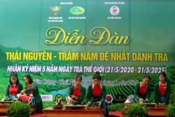 Định hướng phát triển du lịch, định vị thương hiệu 'Đệ Nhất danh Trà'