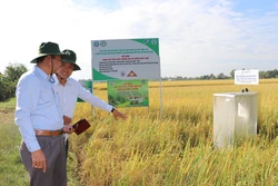 Trà Vinh ứng dụng công nghệ 4.0 trong sản xuất nông nghiệp