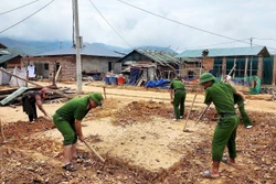 Tranh thủ mọi nguồn lực đẩy nhanh xóa nhà tạm, nhà dột nát