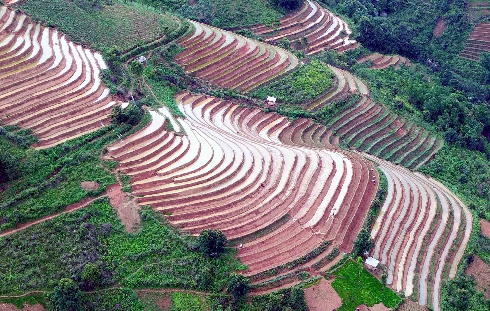 Ruộng bậc thang tại xã Xím Vàng, huyện Bắc Yên, tỉnh Sơn La. ruong-bac-thang-bac-yen-13.jpg