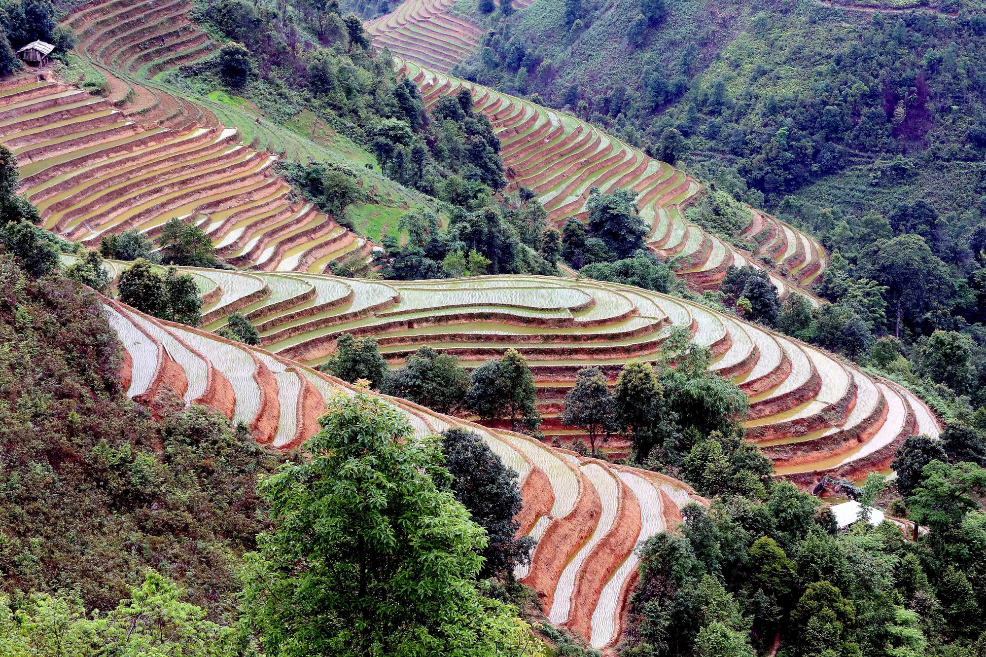 Ruộng bậc thang tại xã Xím Vàng, huyện Bắc Yên, tỉnh Sơn La. ruong-bac-thang-bac-yen-10.jpg