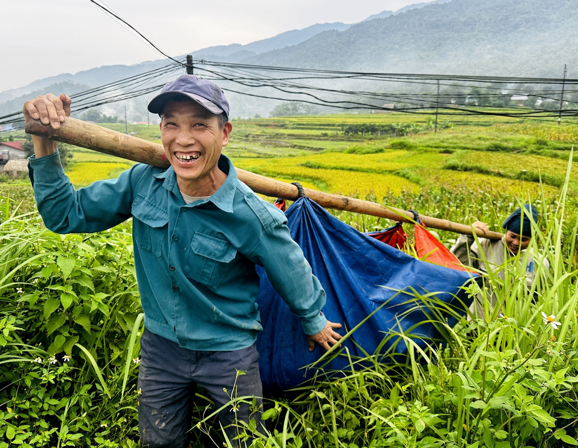 Người dân Hà Giang cõng lúa về nhà. Người dân Hà Giang cõng lúa về nhà.