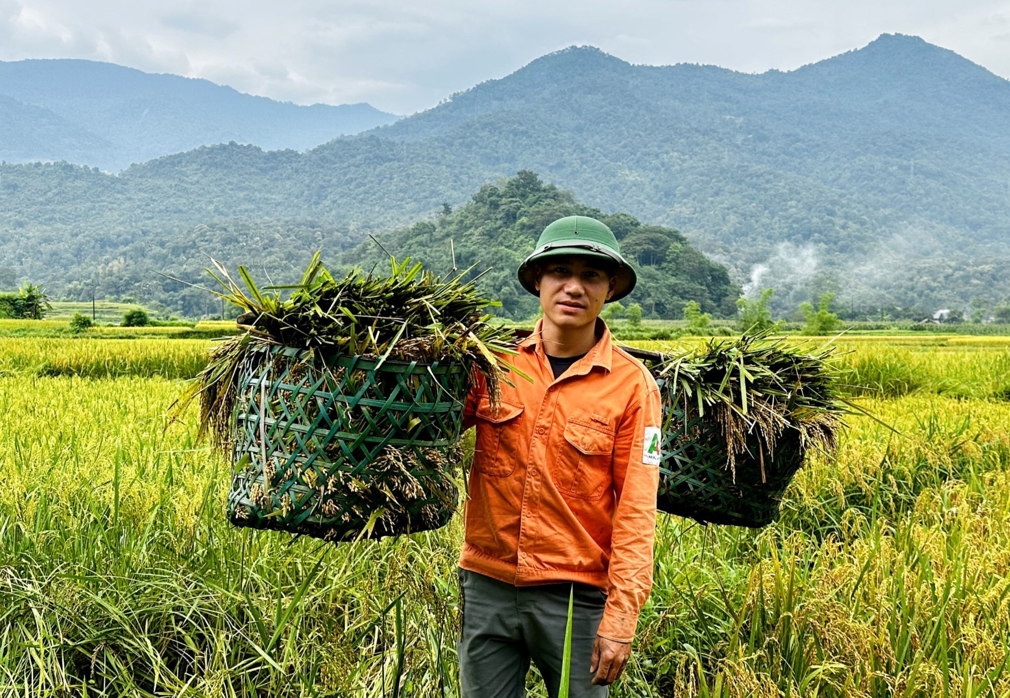 Người dân Hà Giang cõng lúa về nhà. ha-giang-14625-11.jpg