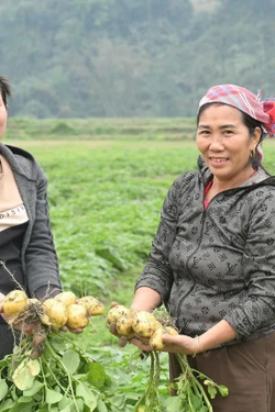 Vùng lũ Làng Chút thay áo mới, đón Xuân sang