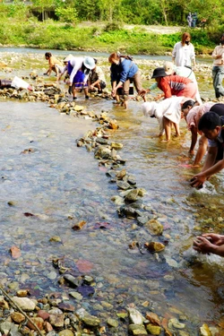 Đắp chăn 'săn' cá suối: Nghi thức tâm linh đặc biệt của đồng bào Co