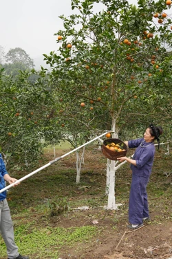 'Thủ đô kháng chiến' đang vươn mình